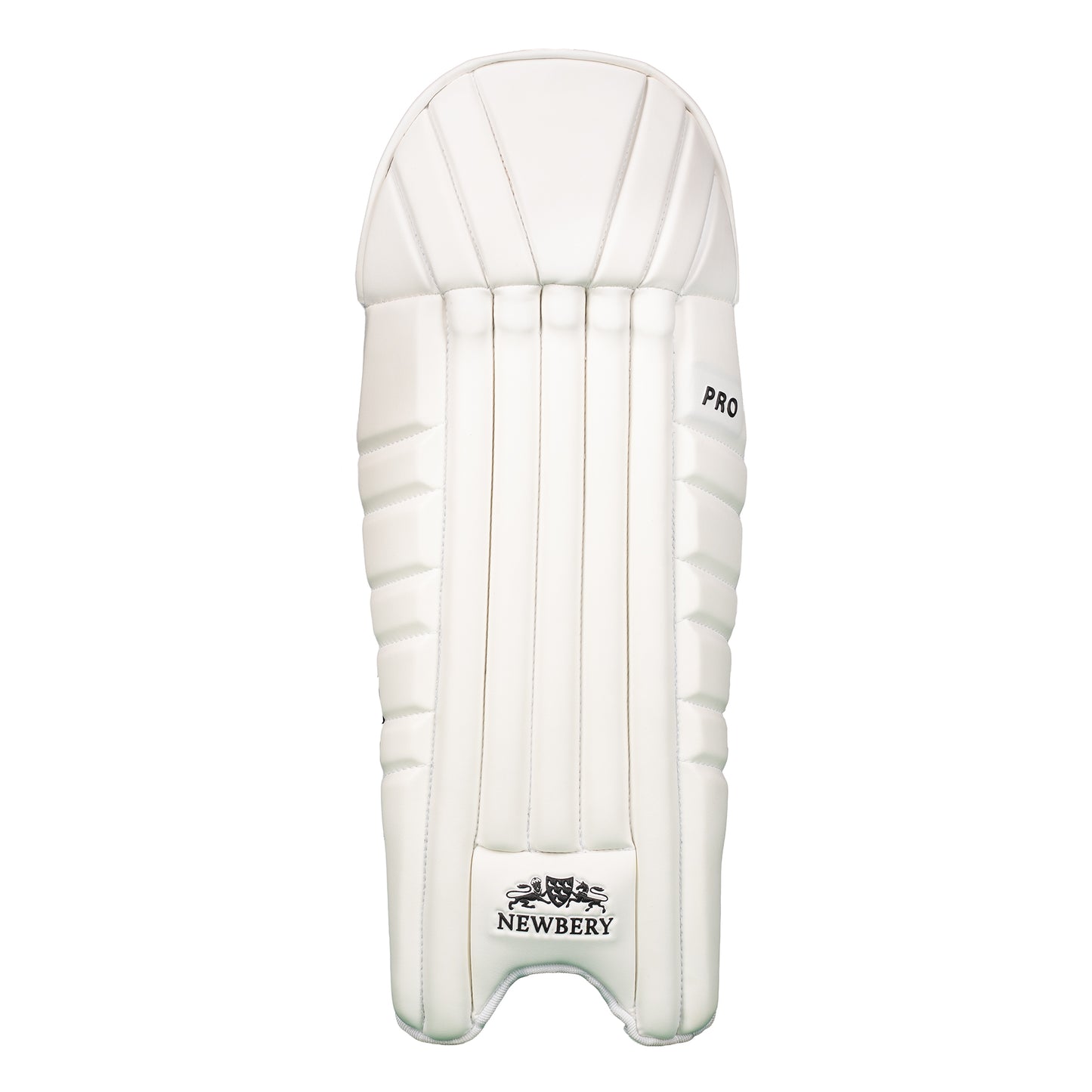 Newbery Pro Wicket Keeping Pads